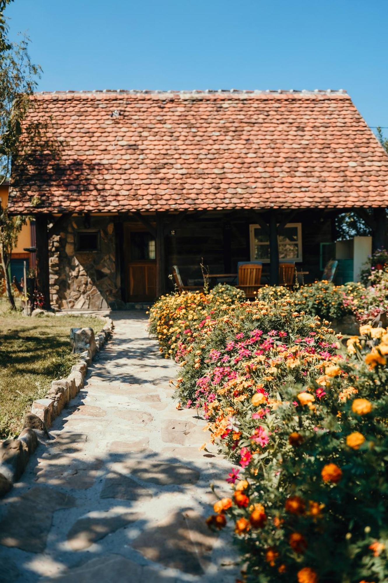 Magaze De Luxe Villa Gradacac Exterior photo