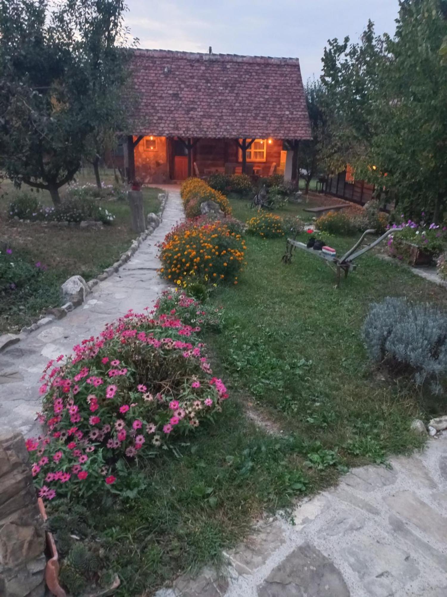Magaze De Luxe Villa Gradacac Exterior photo