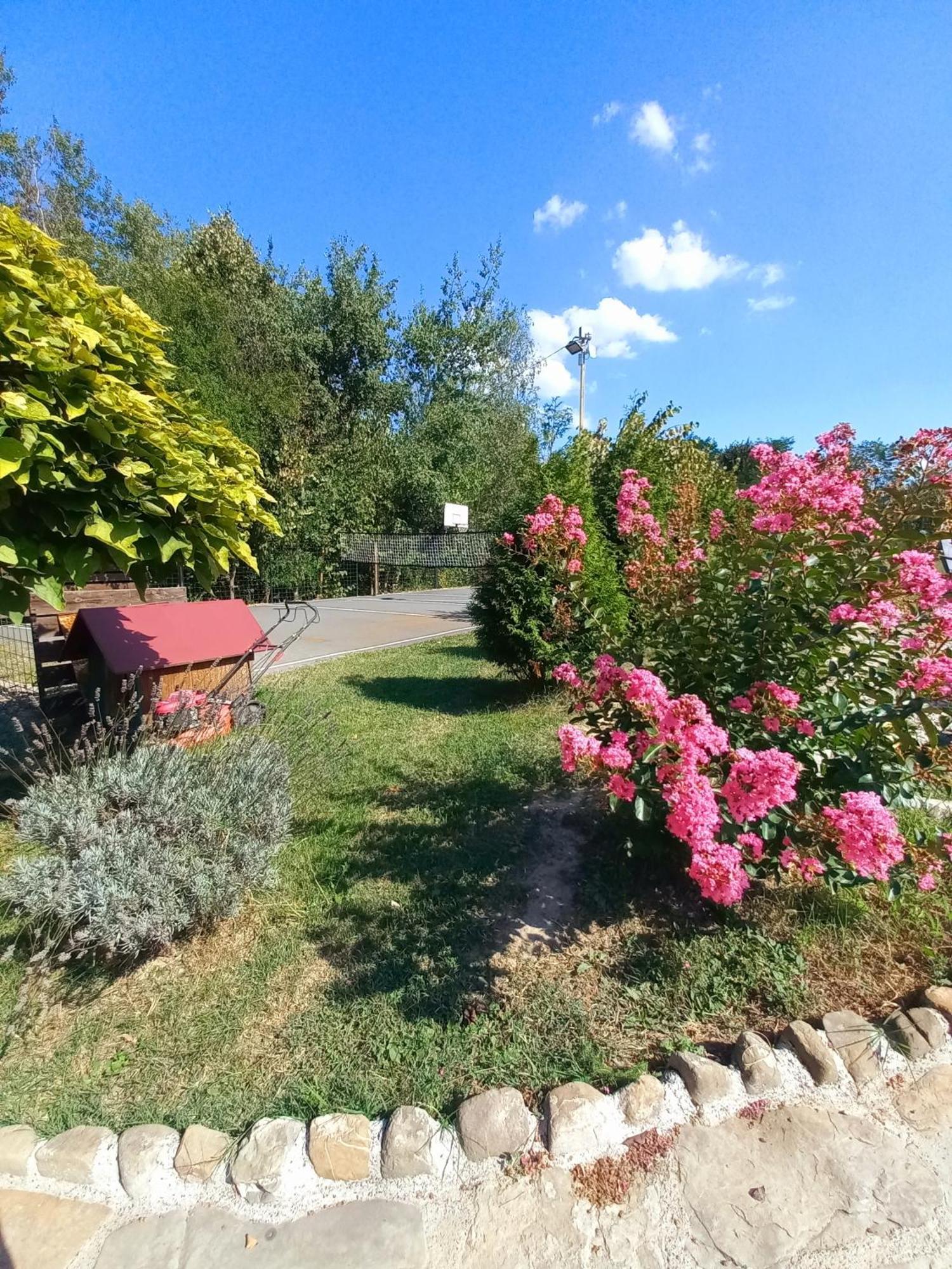 Magaze De Luxe Villa Gradacac Exterior photo